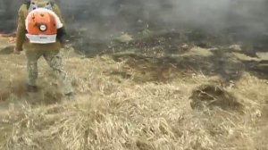 Воздуходувка Stihl BR 600 Magnum