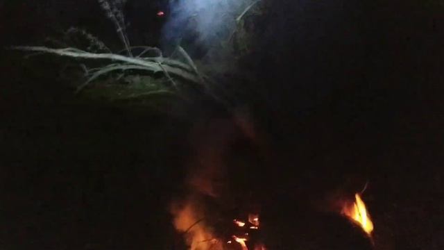 Рыбалка осень 2022, неделя в пойме смотреть онлайн