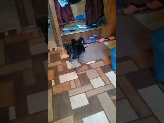 21 апреля 2023 г. смотреть онлайн