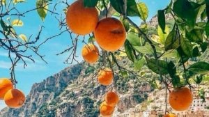 Joe Dassin - Taka Takata