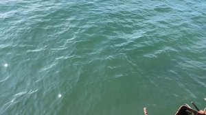 Рыбалка Камчатка