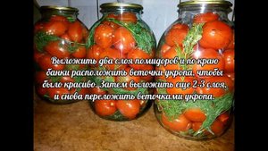 Помидоры в собственном соку на зиму
