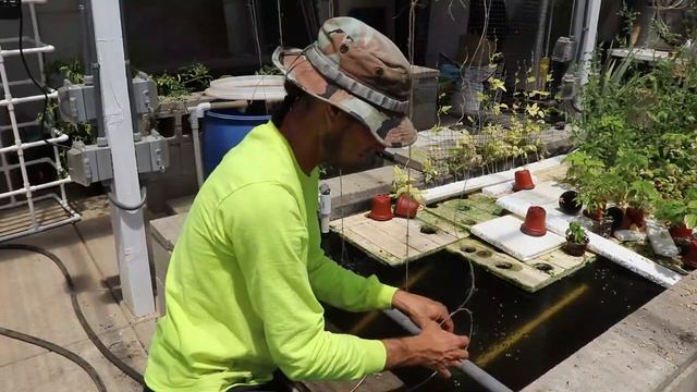 Reinventing Deep Water Culture Aquaponics part 2 смотреть онлайн