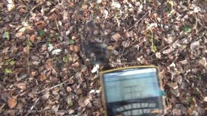 Garrett ACE Apex - ТЕСТ на КРУПНОЕ ЖЕЛЕЗО / Перегруза НЕТ