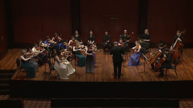 Skye Park plays Brahms Vl. Concerto 1st m. смотреть онлайн