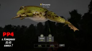 РР4-Трофейная Лягушка, о.Комариное.mp4