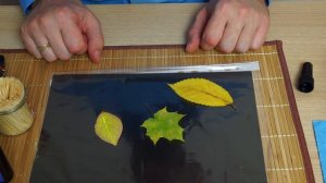 Осенние листья ? в УФ смоле