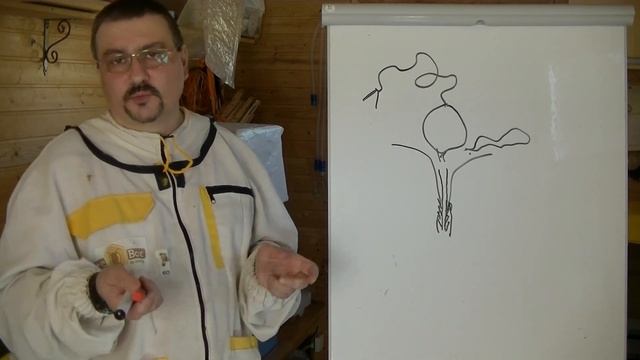 ❤ Как не быть ужаленным пчелой ❤ смотреть онлайн