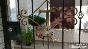 Цветение плетистых роз Симпати и Шнеевальцер