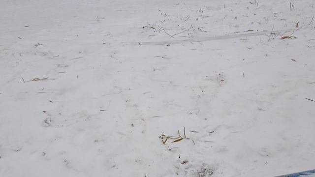 катаемся