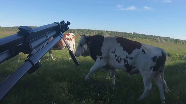 РЫБАЛКА ДОНКОЙ и ЛОВЛЯ на РЕКЕ ОКУНЯ на ЧЕРВЯ смотреть онлайн