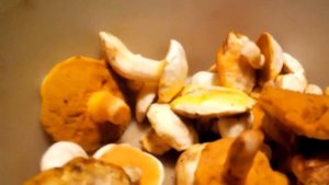 Маслята- нужно ли  чистить?