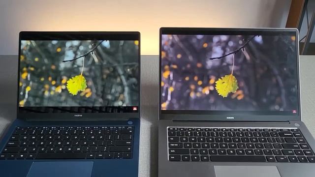 Mi Notebook vs Realme Book Review in Hindi ⚡ Comparision Realme laptop vs Mi laptop смотреть онлайн