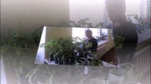 #ТОПШкола "Богдановичская школа-интернат, реализующая АООП"  г. Богданович