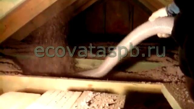 эковата смотреть онлайн