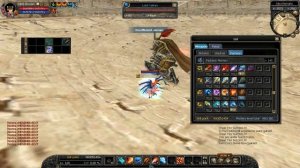 Silkroad Online GM Skills+Unique