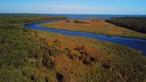 4K. Река Тростянка (Устье). Зеленоградск. Калининградская область.