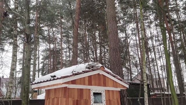 ЛИ СЯО. Алиса - Лиса. Радость коврику. смотреть онлайн