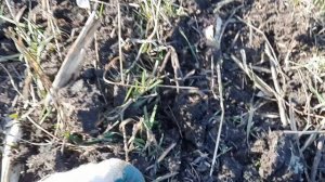 коп металла на кавказе#3