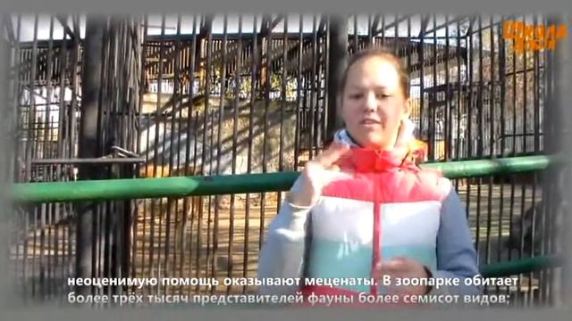 Столица красноярского края - Красноярск смотреть онлайн