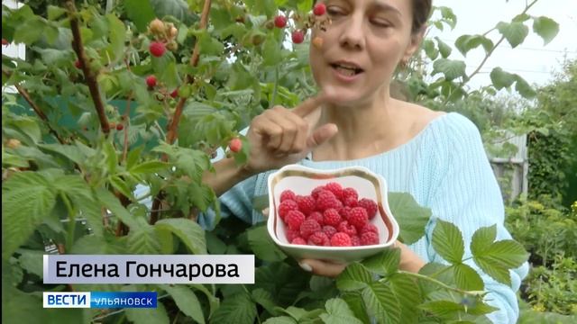 19 июля отмечается удивительный и вкусный праздник – День пирожков с малиновым вареньем