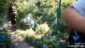 Обзор гитара  agnetha apg e 110