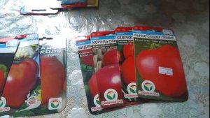 Лучшие сорта томатов от Сибирского сада.