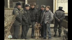 Возвращение Мухтара 2. стечение обстоятельств