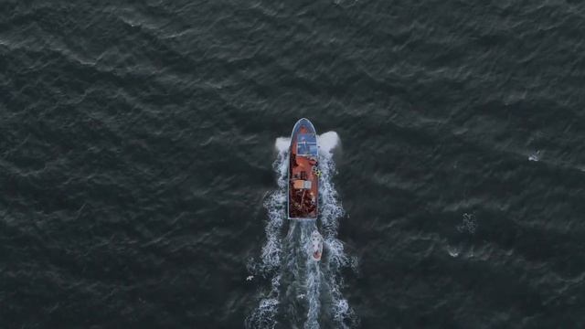 Как и зачем очищать голову и сознание? смотреть онлайн