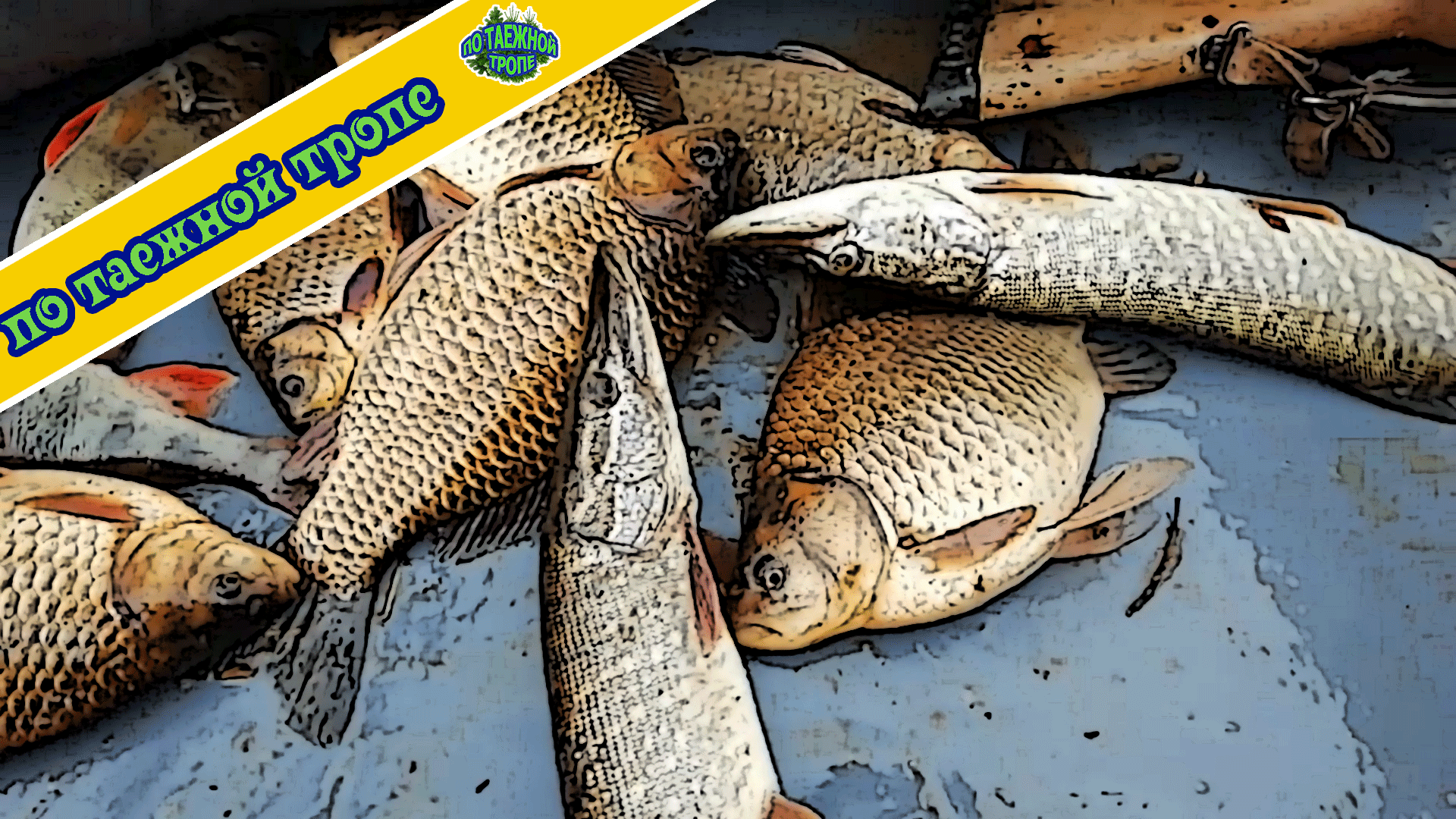 Сезон охоты на утку открыт. Один в лесу на водоеме смотреть онлайн