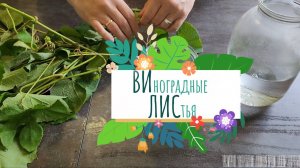 Вилис - настойка на виноградных листьях