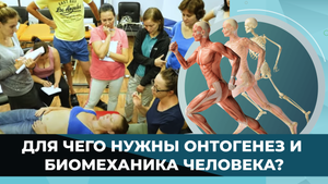 Для чего нужно знать онтогенез и биомеханику?