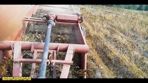 МТЗ 320, Т-40АМ и картофелекопалка Лидсельмаш Л-652 (продается)