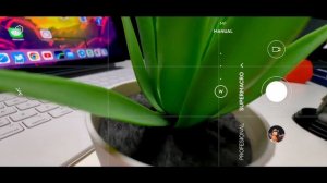 Huawei Mate 50 Pro | Review en Español