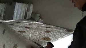 САКУРА МАТРАСТА жаттыңыз беле?