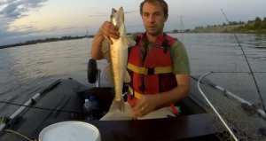 Рыбалка на спиннинг на Волге и Оке в черте города.