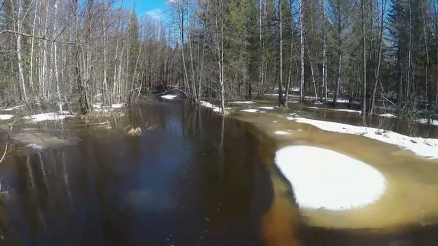 Как оживает природа весной. Очень красиво смотреть онлайн