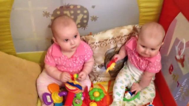 Манеж! смотреть онлайн