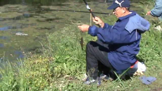 Рыбалка летом: на  карася с берега .mpg смотреть онлайн