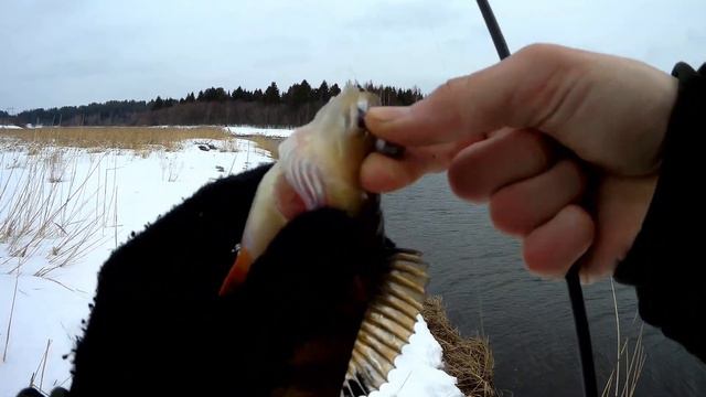 РЫБАЛКА в запрет 2019! ОКУНЬ на FANATIK! ЩУКА НА STRIKE PRO! ОТЧЕТ С РЫБАЛКИ! смотреть онлайн