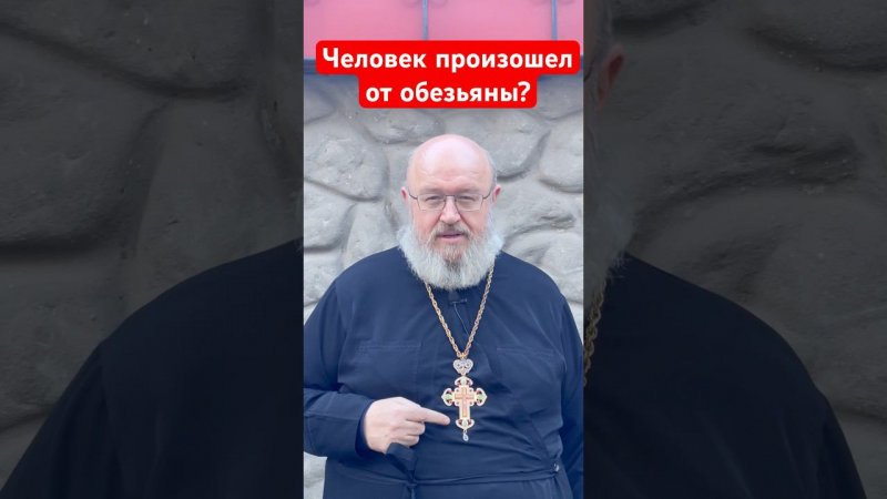 Человек произошел от обезьяны?