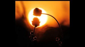 КРАЙОН - ЧЕЛОВЕЧЕСКАЯ ДУША. СУТЬ ДУШИ - ЧЕННЕЛИНГ 1