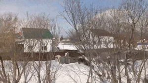 От г. Южно-Сахалинск до с. Дальнее на рельсобусе РА-3 “Орлан".ЧАСТЬ #1.