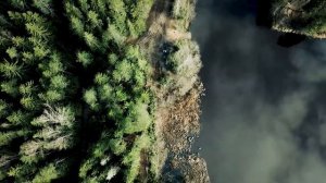 Токсово, озеро Светлое