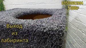 Лабиринт для кошек