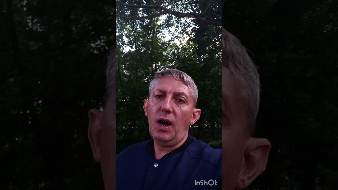 Стих. "Не трогайте Русских птиц". смотреть онлайн