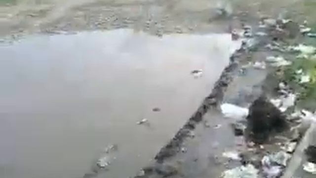 так обслуживают мусорки в Азово Омская область смотреть онлайн