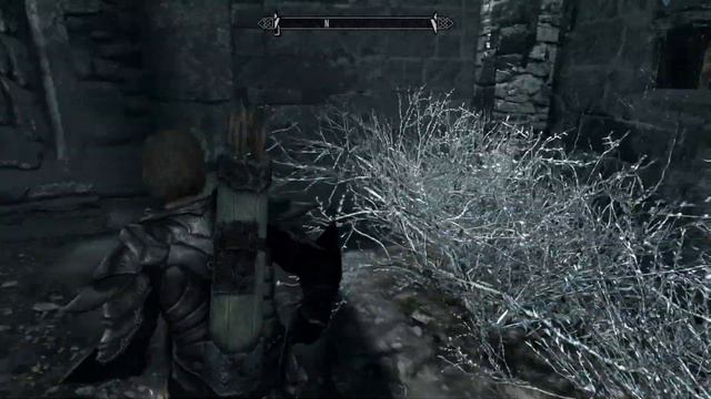 Skyrim [PS4] Commentary #108, Windhelm: Blood on the Ice; Bonestrewn Crest Dragon смотреть онлайн