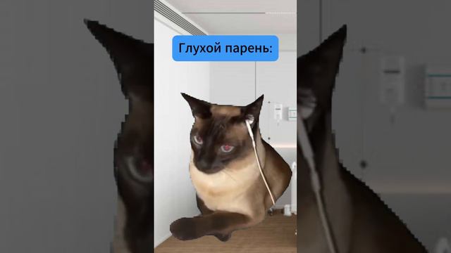 Парень вышел из комы спустя 15 лет! #Смешно #Кот #Котики #Животные смотреть онлайн