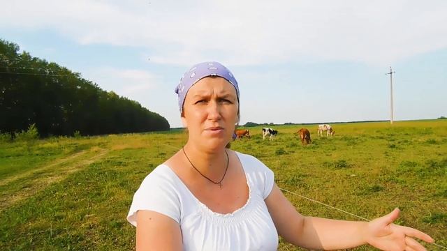 НИКОГДА НЕ БУДУ КОСИТЬ..!БОЛЬШЕ ВСЕГО ДЕНЕГ УХОДИТ НА ПОКУПКУ КОРМОВ.ЧЕМ  КОРМИТЬ КОРОВУ?НАШЕ СЕНО